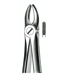 E1 Forceps N.1 Incis-Canin.Sup