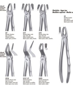 Ls7 Forceps Premolar Sup. Liquid Steel