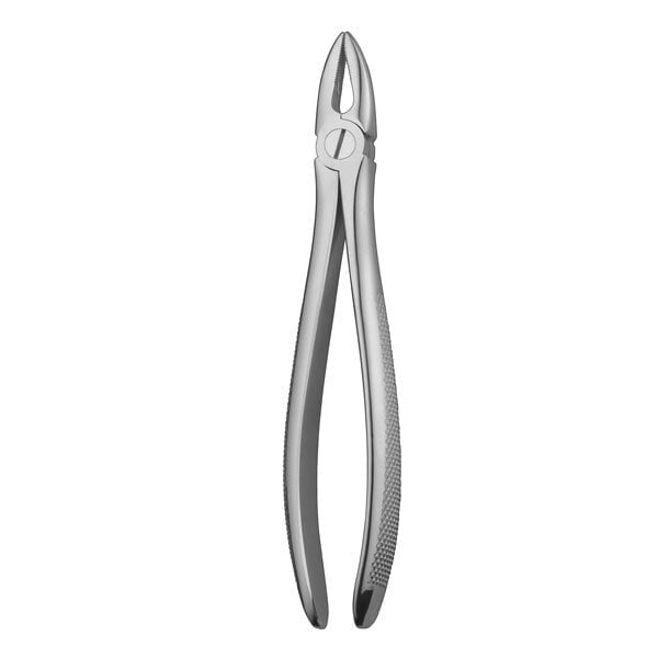 E29 Forceps Raices Superiores