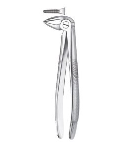 33 1/2 Forceps Raices Inferior