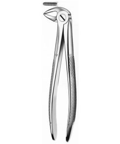 33A Forceps Raices Inferiores
