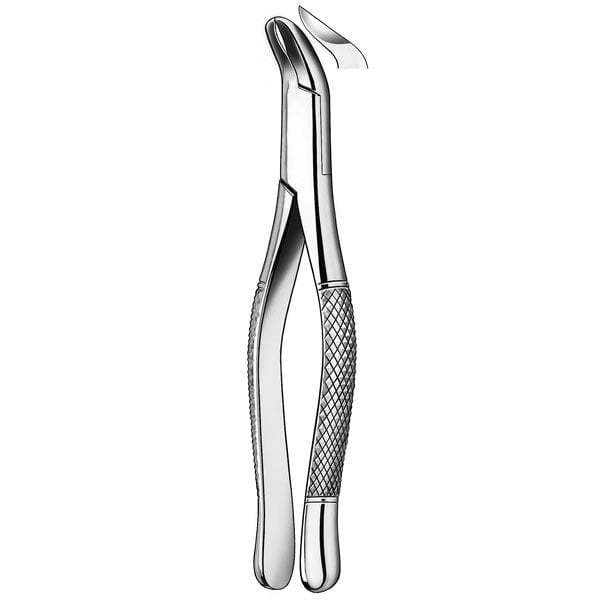 409/5 Forceps Physick Cord.Inf - Imagen 2