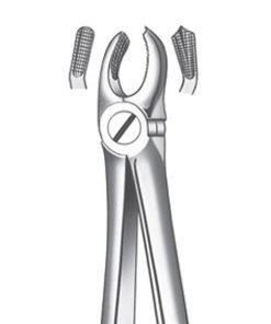 M2017 Forceps Molar Sup. Dcho.